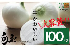 【大容量100kg】 新玉ねぎ 生がおいしい 神重農産のブランド玉ねぎ「旬玉」　H105-050