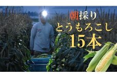 厳選朝採り とうもろこし(スイートコーン)「味来」 15本　H017-092