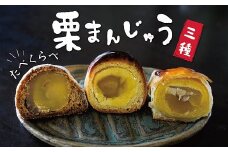 栗ざんまい！栗まんじゅう３種類食べ比べセット　H149-012