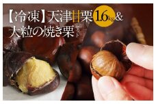 【冷凍】天津甘栗1.6kg＆大粒の焼き栗セット  焼きたて 栗 くり 栗爪 殻付き お菓子 おつまみ 人気 高リピート 小分け 美容 健康 栄養豊富　H045-055