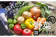 目利きのプロ 八百屋厳選 野菜詰め合わせセット（8～10種類お届け）　H151-010