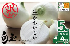 (2026年発送)訳あり 新玉ねぎ 定期便 5kg×4回　生がおいしい 神重農産のブランド玉ねぎ「旬玉」 ブランド玉ねぎ 玉ねぎ 新玉ねぎ 国産 愛知県産 野菜 やさい 農家直送 畑直送 旬 たまねぎ 先行予約 旬 特産 高評価 高リピート 人気 H105-129