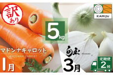 ＜フジテレビ『どっちのふるさと？』で紹介されました！＞訳あり にんじん 新玉ねぎ 定期便 2回　旬の美味しい季節にお届け マドンナキャロット 人参 ニンジン 旬玉 玉ねぎ たまねぎ 野菜 やさい 国産 碧南市 健康 食品ロス削減 甘い 先行予約 旬 特産 高評価 高リピート 人気　H105-131