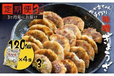 【定期便全3回】3ヶ月に1回お届け 居酒屋のおかあちゃん手作り ひと口味噌ぎょうざ　120個（30個×4袋）　H136-041
