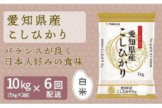 愛知県産コシヒカリ 10kg(5kg×2袋)　※定期便6回　こめ コメ ごはん 安心安全なヤマトライス 米 白米 国産 精米 10キロ　H074-662
