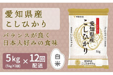 愛知県産コシヒカリ 5kg　※定期便12回　こめ コメ ごはん 安心安全なヤマトライス 米 白米 国産 精米 5キロ　H074-663