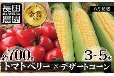 【2026年度予約分】あま～いトウモロコシ＆トマトベリー　長田農園しかできない夢の共演 【個数限定】 野菜ソムリエサミット 金賞 受賞 長田農園  産地直送 トマト とまと 野菜 やさい フルーツ サラダ 濃厚 甘い ご褒美 プレゼント 美容 健康 リピート多数 人気 高評価 数量限定 碧南市 H004-160
