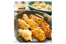 居酒屋のおかあちゃん手作り もちもち福刻餃子 180個(30個×6袋) 碧南産にんじん入り　H136-031