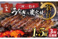 伝統の炭火焼きうなぎ‼炭火で焼き上げた香りが食欲をそそります