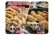 【3か月定期便】居酒屋のおかあちゃん手作り　“パリパリひと口ぎょうざ”と“もちもち餃子”コラボセット 合計90個　H136-044
