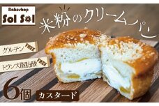 グルテンフリー 米粉クリームパン 6個　カスタード味　H083-020