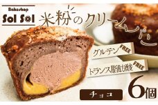 グルテンフリー 米粉クリームパン 6個　チョコ味　H083-022