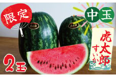 【2025年発送】夏の風物詩 中玉すいか「虎太郎西瓜」２玉 すいか 甘い すいか2玉 　H141-016
