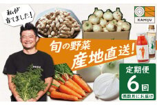 【偶数月にお届け】6回定期便 農家直送 神重農産の旬の幸せ野菜 お楽しみ定期便 にんじん 人参 玉ねぎ たまねぎ 落花生 旬　野菜 やさい 国産 碧南市 健康 特産 j畑直送 キャロットジュース H105-108