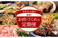 【全6回】厳選！お肉づくめの定期便 H028-080