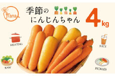 【個数限定】にんじん 約4kg『季節のにんじんちゃん』 野菜 人参　H116-049