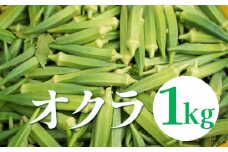 【2025年発送】太陽をたっぷり浴びて育った　オクラ１kg　H139-021