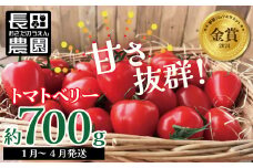 【2026年度予約分】【お試し】甘さ抜群!トマト嫌いでも食べられるトマトベリー 約700g（1月～4月発送） 野菜ソムリエサミット 金賞 受賞 長田農園  産地直送 トマト とまと 野菜 やさい フルーツ サラダ 濃厚 甘い ご褒美 プレゼント 美容 健康 リピート多数 人気 高評価 数量限定 碧南市 H004-125