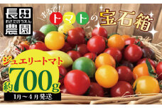 【2026年度予約分】【お試し】まるでトマトの宝石箱！ジュエリートマト 約700g（1月～4月発送）　長田農園  産地直送 トマト とまと 野菜 やさい フルーツ サラダ 濃厚 甘い ご褒美 プレゼント 美容 健康 リピート多数 人気 高評価 先行受付 数量限定 碧南市　H004-126