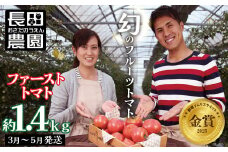 【2026年度予約分】【大人気！】たった3ヶ月しか食べられない　幻のファーストトマト たっぷり約1.4kg（3月～5月発送）　野菜ソムリエサミット 金賞 受賞 長田農園  産地直送 トマト とまと 野菜 やさい フルーツ サラダ 濃厚 甘い ご褒美 プレゼント 美容 健康 リピート多数 人気 高評価 先行受付 数量限定 碧南市　H004-127
