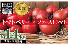 【2026年度予約分】【人気No.1セット】ファンにならずにいられない ファーストトマト＆トマトベリー 計約1.4kｇ（3月～5月で発送） 野菜ソムリエサミット 金賞 受賞 長田農園  産地直送 トマト とまと 野菜 やさい フルーツ サラダ 濃厚 甘い ご褒美 プレゼント 美容 健康 リピート多数 人気 高評価 数量限定 碧南市 H004-149