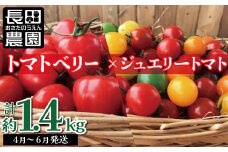 夢のコラボ トマトベリー＆ジュエリートマトセット 計約1.4kg【2023年予約販売】 H004-088