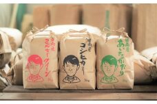 【幻の潮かぶり米】令和6年産新米 あいちのかおり&コシヒカリ＆ミルキークイーン 3品種 食べ比べ 9kg（3kg×3袋）米 コメ 新米 あいち 愛知 かおり コシヒカリ こしひかり  ミルキー 予約 予約受付 H073-008