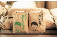 【幻の潮かぶり米】令和6年産新米 あいちのかおり&コシヒカリ2品種 食べ比べ10kg（5kg×2袋） 米 コメ 新米 あいち 愛知 かおり コシヒカリ こしひかり 予約 予約受付 H073-007