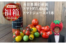 【福箱★2026】 （予約受付中） トマトでハッピー！！長田農園の厳選トマト約1.4kg&トマトジュース720ml×1本 福箱 H004-176