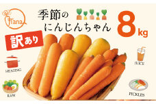 【個数限定】訳あり にんじん 約8kg 『季節のにんじんちゃん』 H116-048_Jan