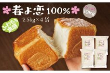 【小麦粉】国産 “春よ恋” パン用 強力粉 2.5kg×4袋（計10kg）　H008-208