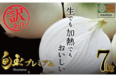 【訳あり】初夏の新玉ねぎ「旬玉」プレミアム7kg 5月発送 ブランド玉ねぎ 玉ねぎ 新玉ねぎ 国産 愛知県産 野菜 やさい 農家直送 畑直送 旬 期間限定 たまねぎ 先行予約 旬 特産 高評価 高リピート 人気  H105-097
