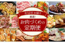 【全12回】厳選！お肉づくめの定期便(毎月お届け） H028-081