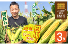 【2025年発送】朝採り直送 メロンより甘い 生とうもろこし“にっこりコーン” 3本 H095-028