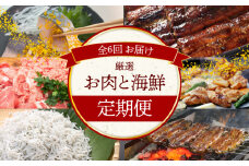 【お試し】お肉・海鮮　定期便（全6回お届け） H028-075