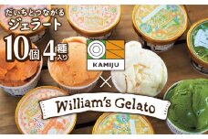 【4種のフレーバーを食べ比べ】ジェラート10個セット 映えるデザインが可愛いと話題に!!  アイス スイーツ デザート 洋菓子 可愛い 詰め合わせ　H105-099