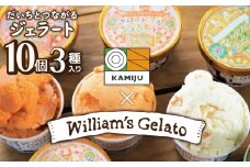 【3種のフレーバーを食べ比べ!!】だいちとつながるジェラート10個セット 映えるデザインが可愛いと話題に!!  マドンナキャロット 地元野菜 甘い アイス スイーツ デザート 洋菓子 可愛い 詰め合わせ キャロットミルク フルーツサラダ ピーナッツミルク 自慢 冷たい にんじん 人参 落花生 ピーナッツ 農家 神重農産 H105-171