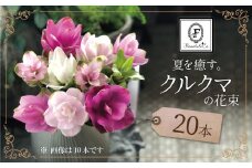 【夏限定】花もち抜群！碧南市産「クルクマ」 カラフルブーケ 20本をかわいく花束にしてお届け H174-002