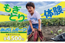 【旬のお野菜・もぎとり体験チケット 4,500円分】何名様でもご利用可能！ 野菜 農業体験 収穫 畑 農園 チケット 体験 プレゼント H025-011