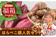 【福箱★2025】とろける里芋【とろりん】＆ホクホクおいしい【金時いも】 はらぺこ畑人気セット 里芋 さつまいも サツマイモ ポテト 焼き芋 冬 野菜  H097-031