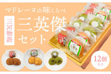 三河物語 三英傑セット～碧南が発祥の白醬油 三英傑が愛した西尾の抹茶、徳川家康お膝元の八丁味噌を使ったマドレーヌの味くらべセット～12個入り H043-010