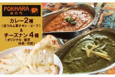【レンジで簡単】チーズナン4種5枚＆カレー2種類 セット 本格スパイスカレー 食べ比べ  おやつ H177-003