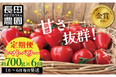 1月～6月毎月発送 　幻のミニトマト トマトベリーの定期便 約700g×6回コース ソムリエサミット 金賞 受賞 長田農園  産地直送 トマト とまと 野菜 やさい フルーツ サラダ 濃厚 甘い ご褒美 プレゼント 美容 健康 リピート多数 人気 高評価 数量限定 碧南市 H004-169