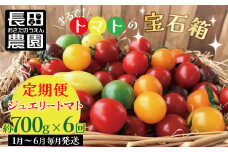 1月～6月毎月発送　まるでトマトの宝石箱！ジュエリートマトの定期便　約700g×6回コース 長田農園  産地直送 カラフル トマト とまと 野菜 やさい フルーツ サラダ 濃厚 甘い ご褒美 プレゼント 美容 健康 リピート多数 人気 高評価 先行受付 数量限定 碧南市 H004-170