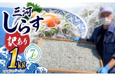 訳あり こモリ1kg！バラエティ豊富な三河しらす～海の仲間たち～ 魚介類 しらす シラス 国産 海の幸 ご飯のお供 おつまみ しらす丼 グルメやみつき 冷凍　H018-046
