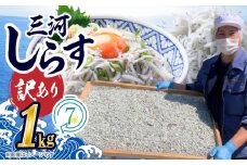 訳あり こモリ1kg！バラエティ豊富な三河しらす～海の仲間たち～ 魚介類 しらす シラス 国産 海の幸 ご飯のお供 おつまみ しらす丼 グルメやみつき 冷凍　H018-046