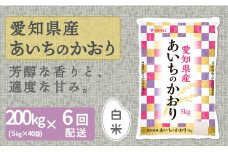 【精米】6回定期便 愛知県産あいちのかおり 200kg（5kg×40袋）　安心安全なヤマトライス 米 白米 国産 大容量 5キロ こめ コメ ごはん　H074-670