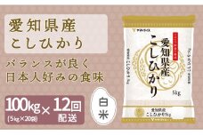 【精米】12回定期便 愛知県産コシヒカリ 100kg（5kg×20袋） 安心安全なヤマトライス 米 白米 国産 精米 大容量 5キロ こめ コメ ごはん　H074-675