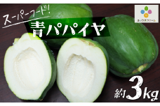 【期間限定】栄養の宝庫 青パパイヤ 約3kg スーパーフード 酵素 美容 健康 エックスファーム H164-010