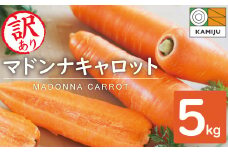 ＜フジテレビ『どっちのふるさと？』で紹介されました！＞【訳あり】甘くて食べやすい“碧南にんじん” 5kg にんじん 人参 ニンジン 野菜 やさい 国産 碧南市 健康 食品ロス削減 甘い 先行予約 旬 特産 高評価 高リピート 人気 H105-139